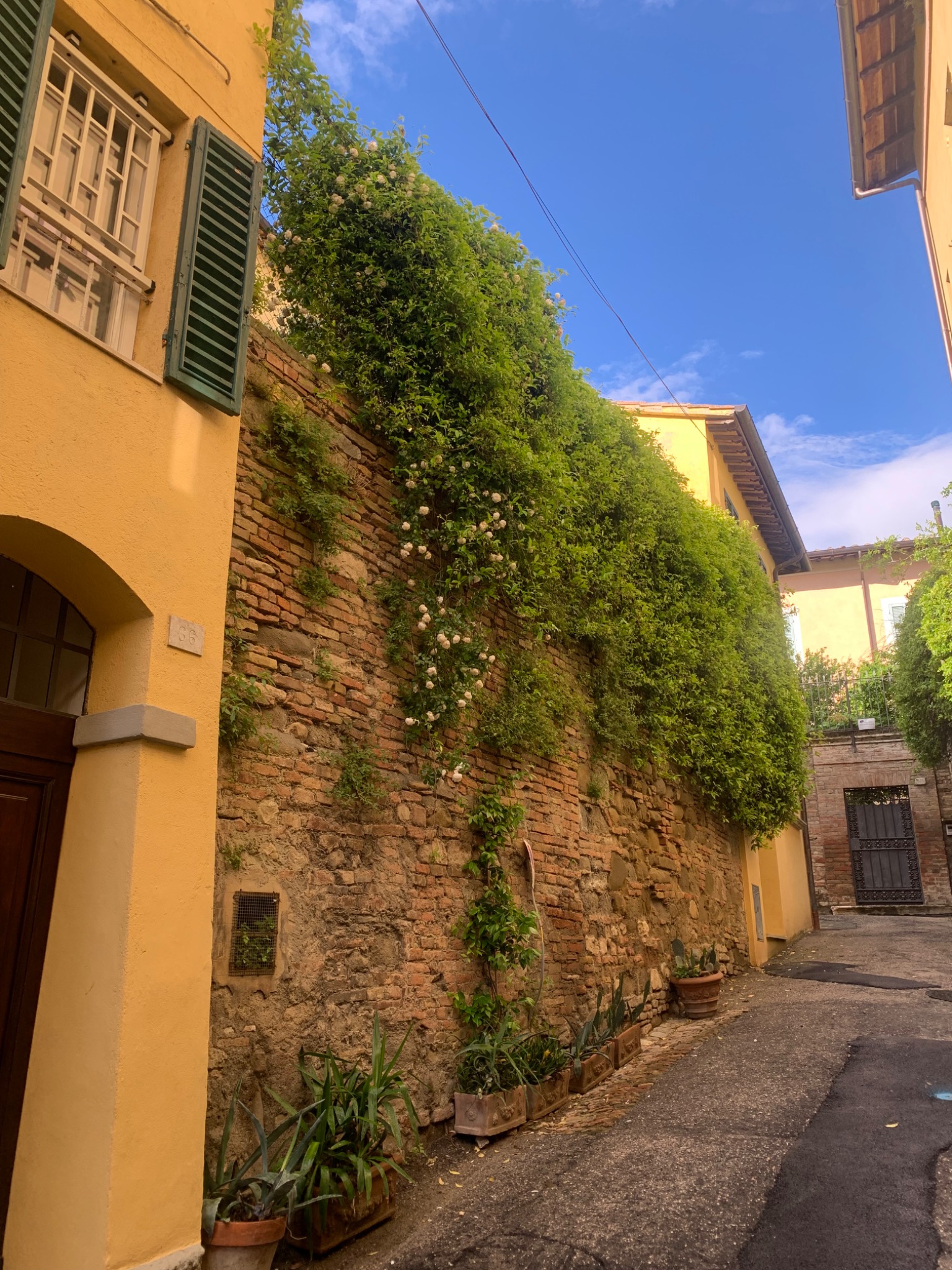 Ruelle fleurie en Ombrie